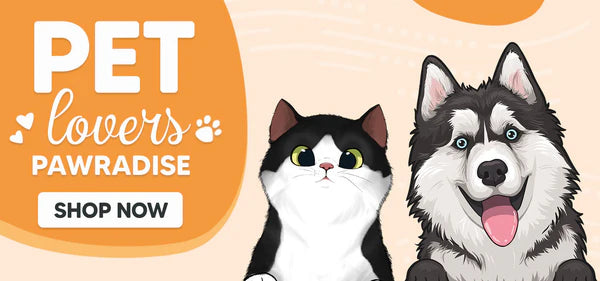 Bottom Small Banner